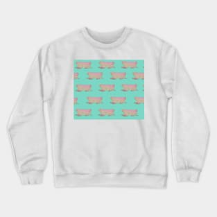 Amazing Pink Fairy Armadillo Crewneck Sweatshirt